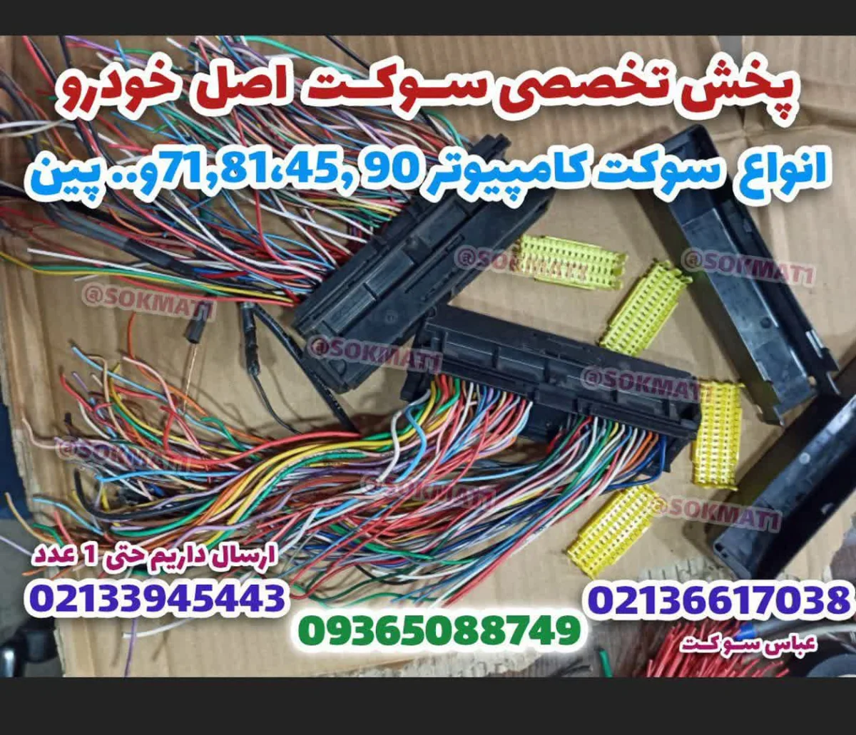 سخنگو سمند اصلی